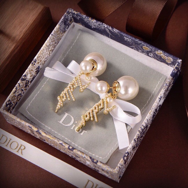 Dior Earrings CE15043