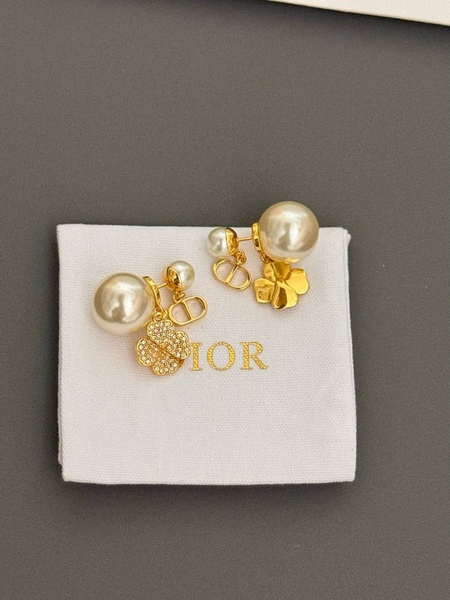 Dior Earrings CE15066