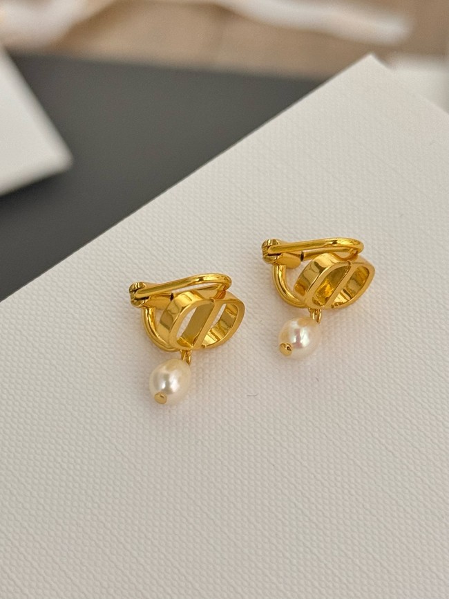 Dior Earrings CE15070