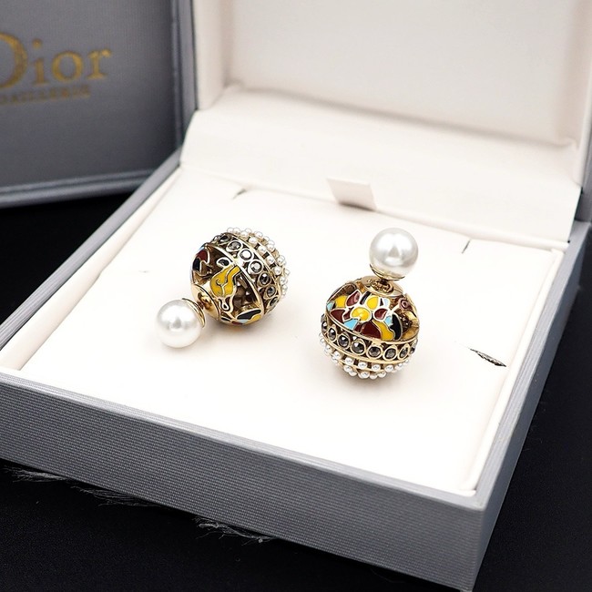 Dior Earrings CE15105