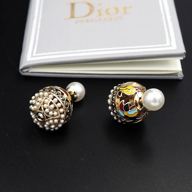 Dior Earrings CE15105