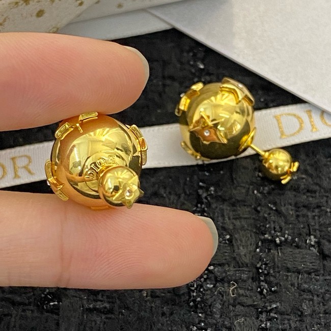 Dior Earrings CE15109