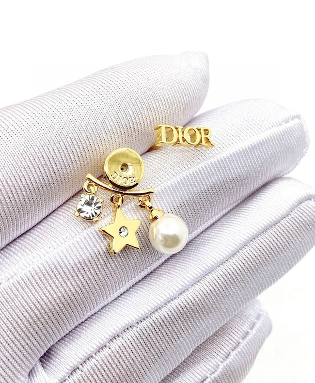 Dior Earrings CE15181