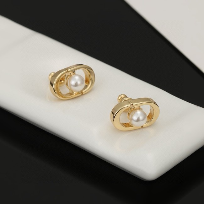 Dior Earrings CE15190