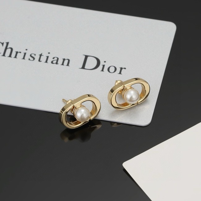 Dior Earrings CE15190