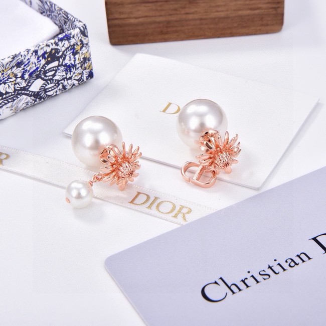 Dior Earrings CE15193