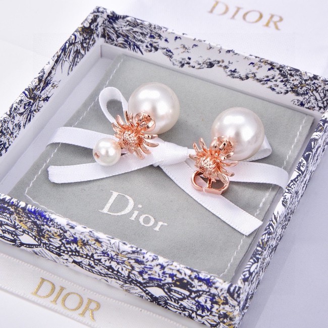 Dior Earrings CE15193