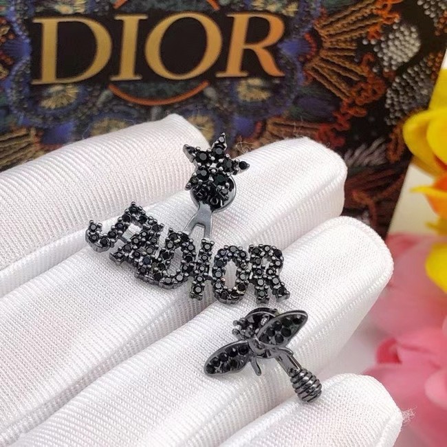 Dior Earrings CE15197