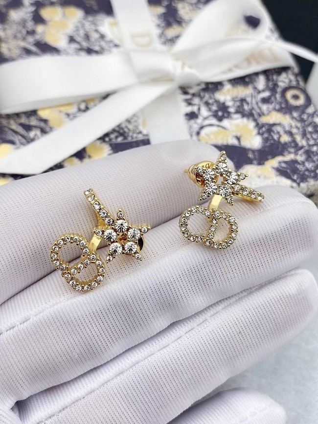 Dior Earrings CE15225