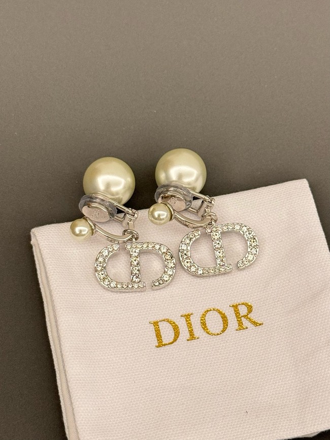 Dior Earrings CE15240