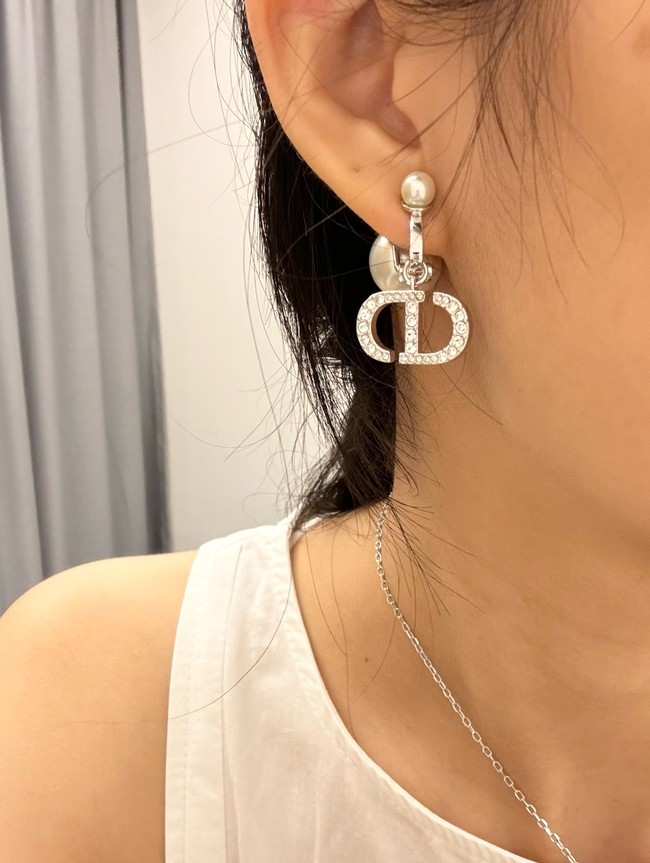 Dior Earrings CE15240