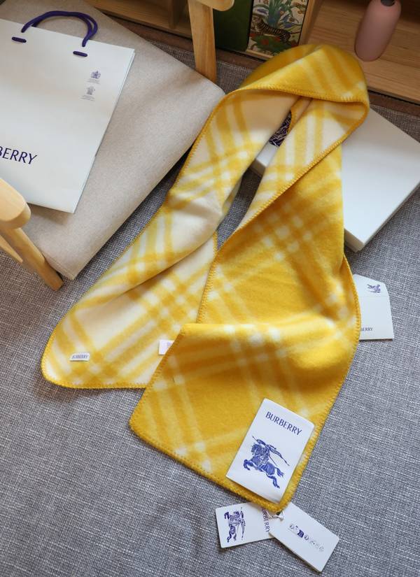 Burberry Scarf BBC00173