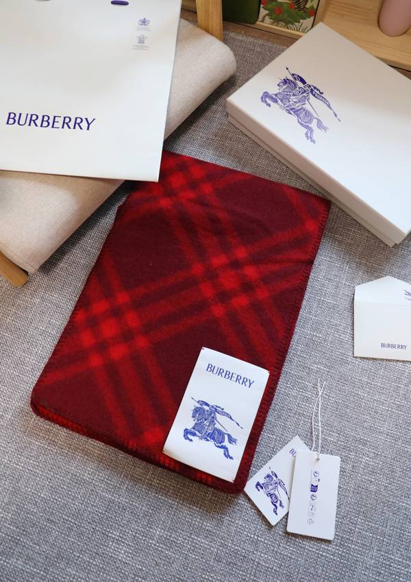 Burberry Scarf BBC00175