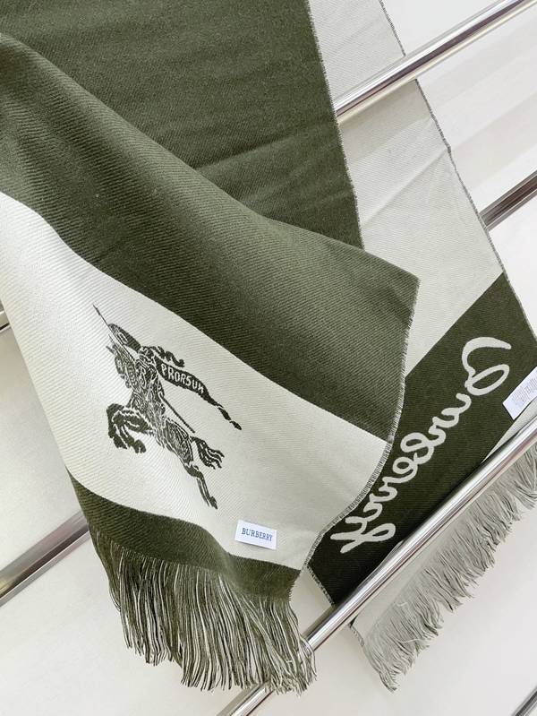 Burberry Scarf BBC00179