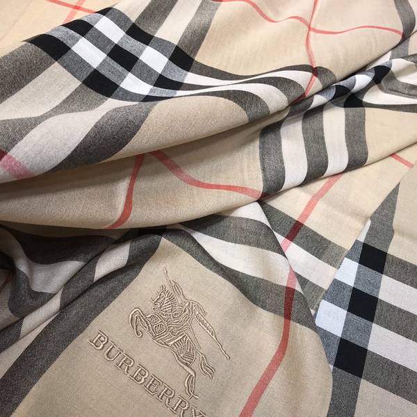 Burberry Scarf BBC00193