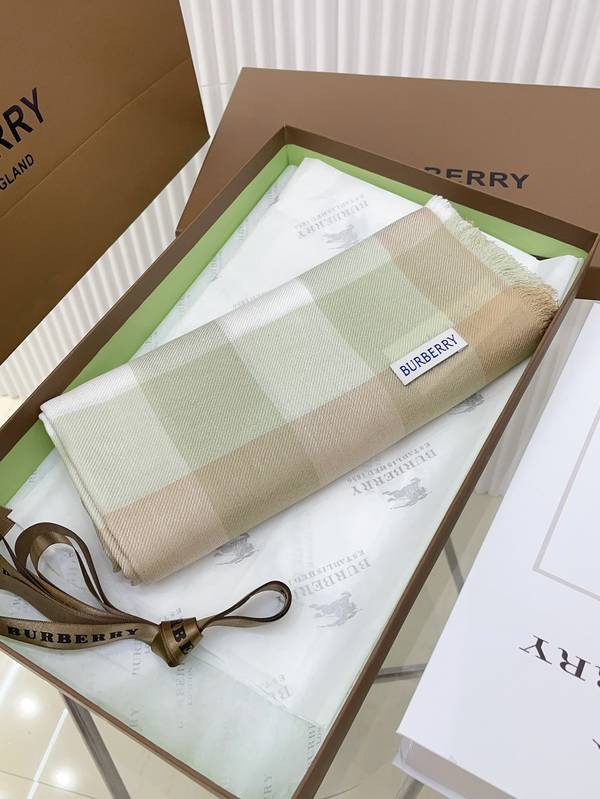 Burberry Scarf BBC00194