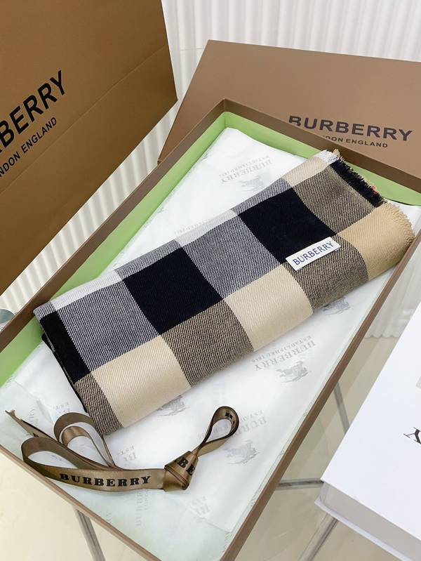 Burberry Scarf BBC00196