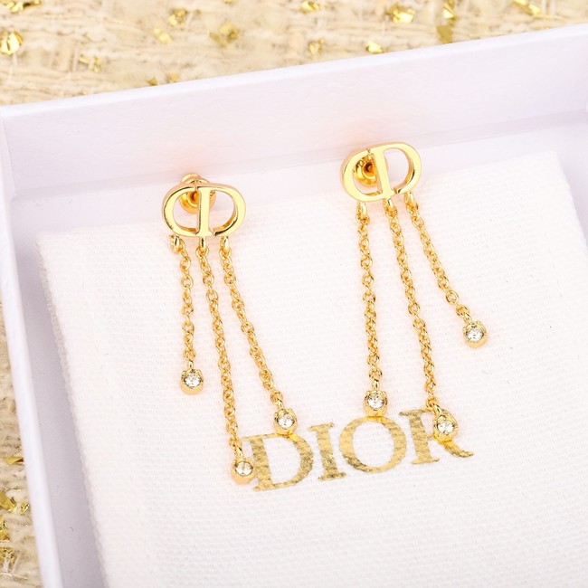 Dior Earrings CE15320