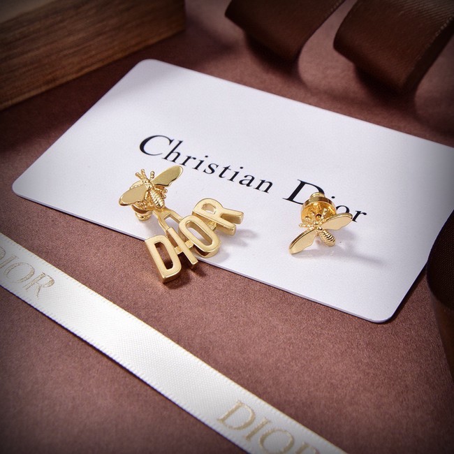 Dior Earrings CE15321