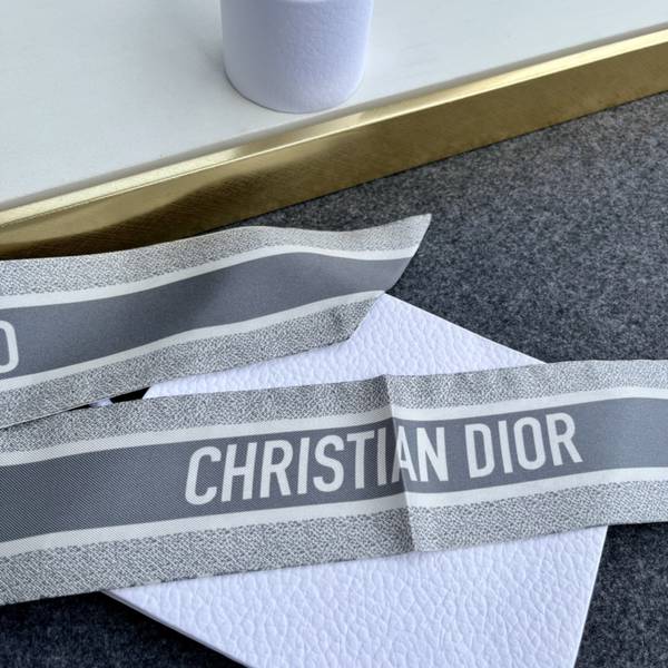 Dior Scarf DIC00368