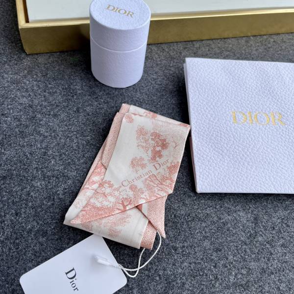 Dior Scarf DIC00370