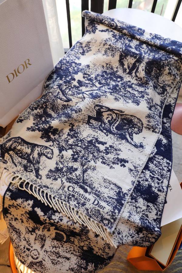 Dior Scarf DIC00373