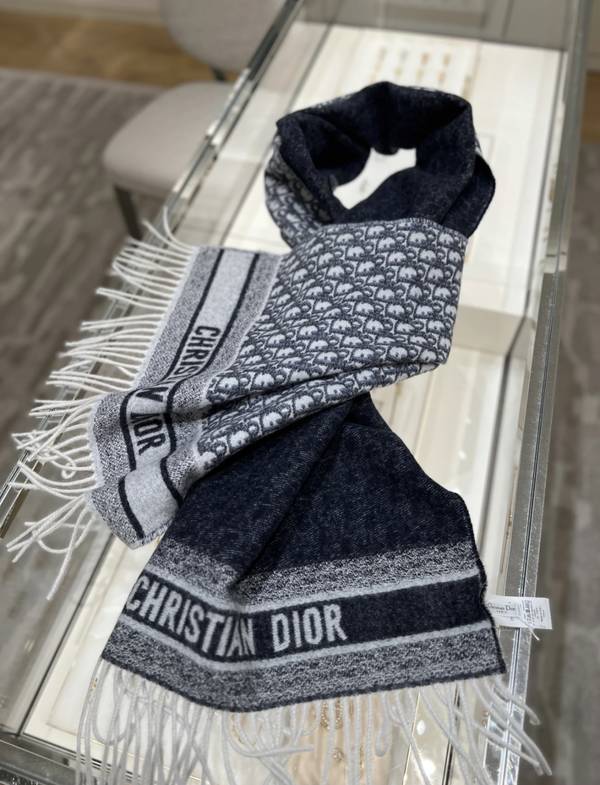 Dior Scarf DIC00374