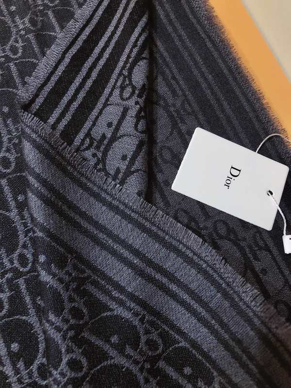 Dior Scarf DIC00382