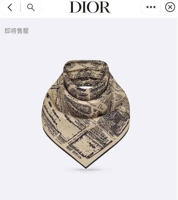 Dior Scarf DIC00396