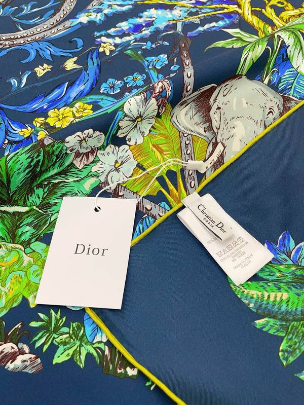 Dior Scarf DIC00400