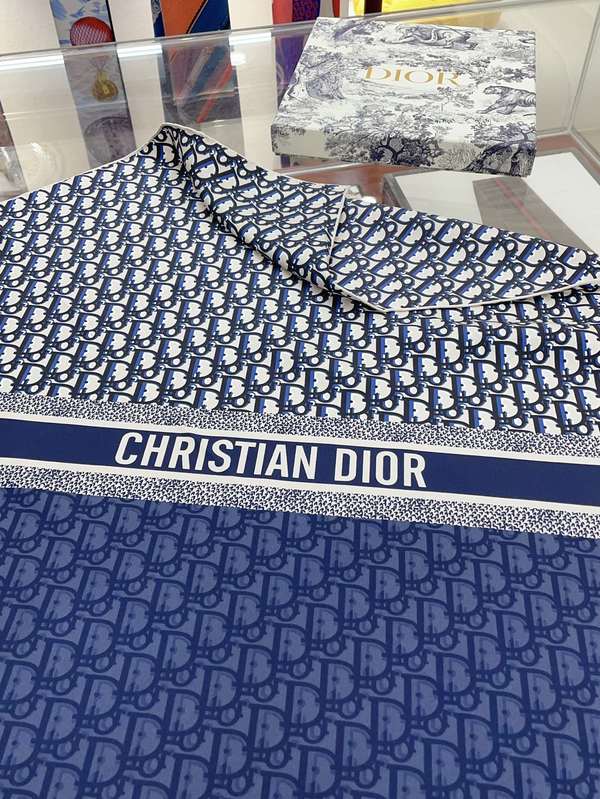 Dior Scarf DIC00403