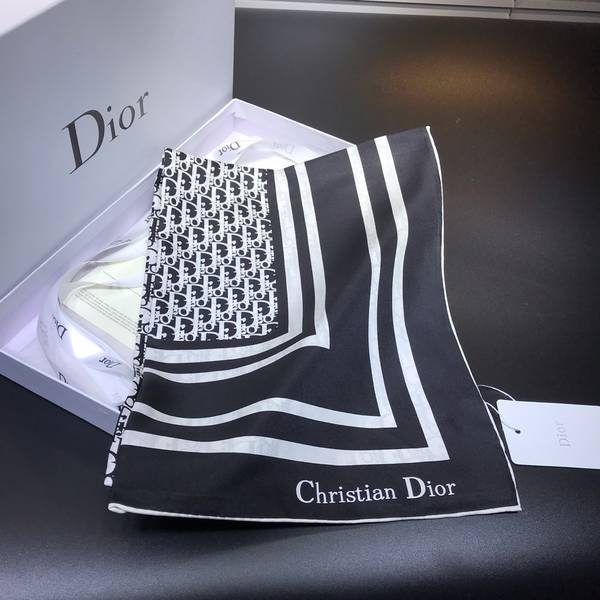 Dior Scarf DIC00409