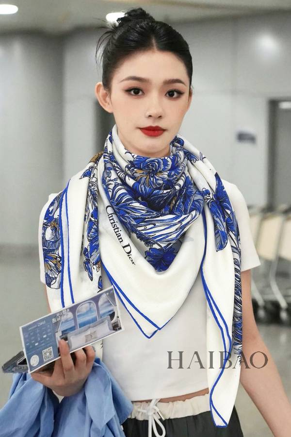 Dior Scarf DIC00426