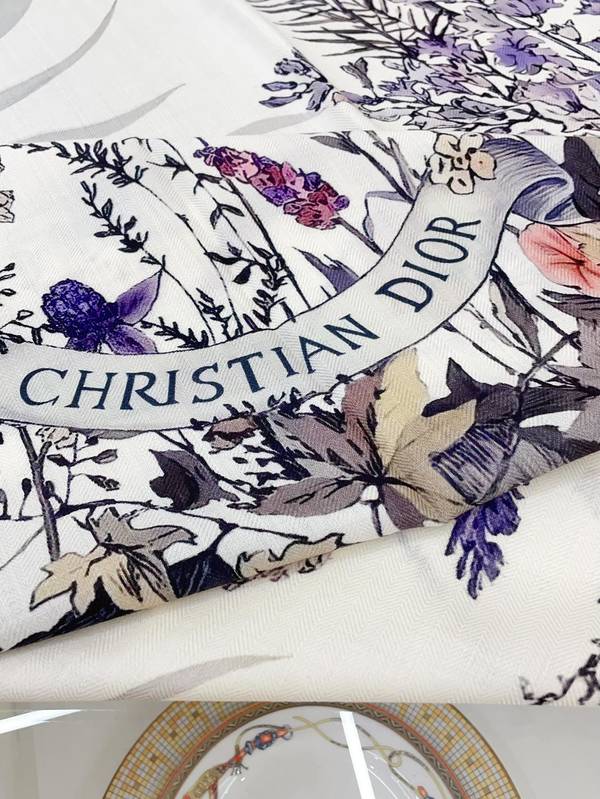 Dior Scarf DIC00440