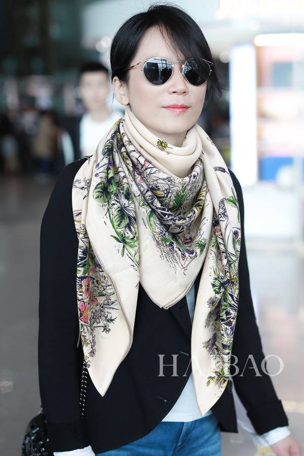 Dior Scarf DIC00458