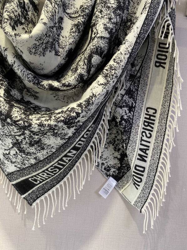 Dior Scarf DIC00476