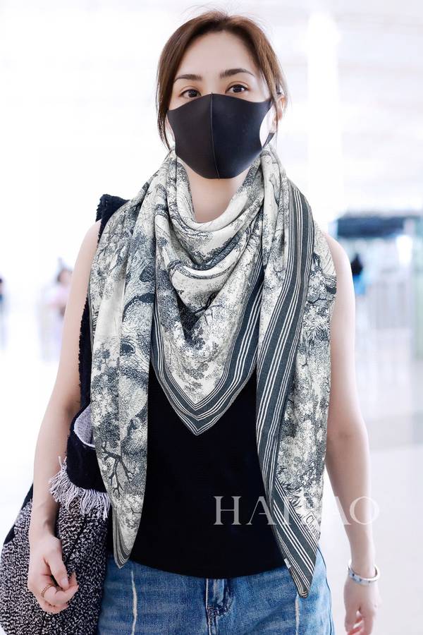 Dior Scarf DIC00480