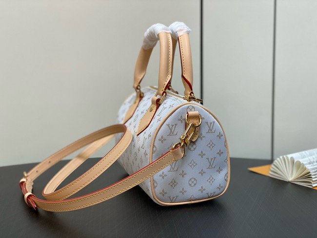 Louis Vuitton Speedy Bandouliere 20 M12747