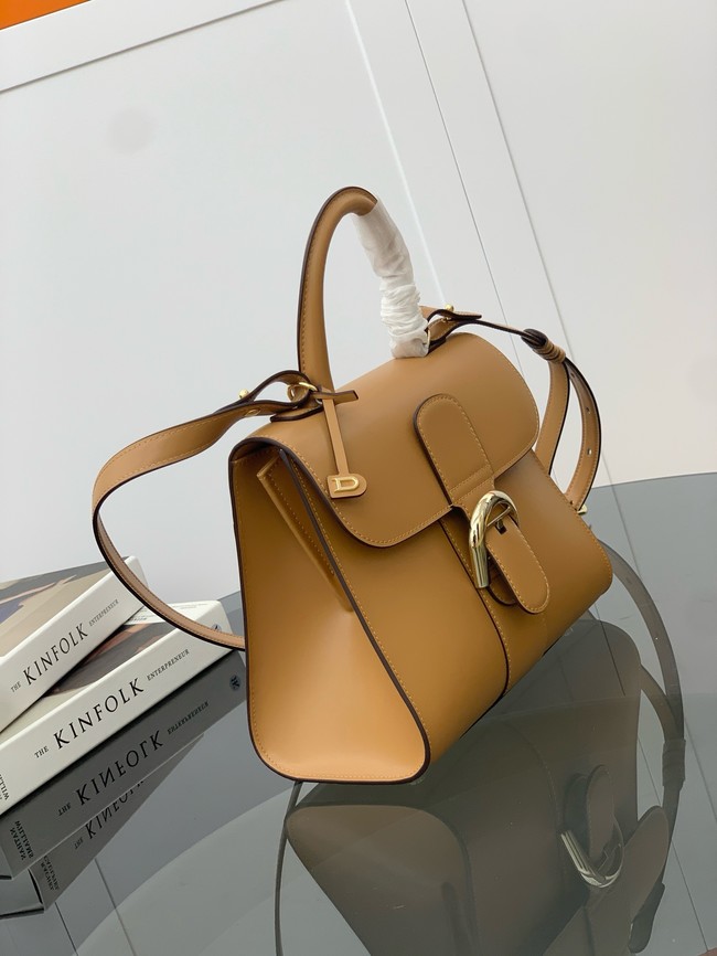 Delvaux Calfskin Leather Tote Bag 17855 Camel