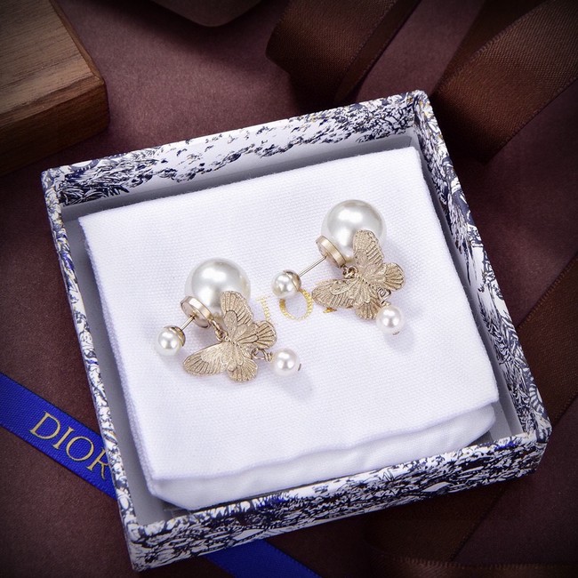 Dior Earrings CE15390