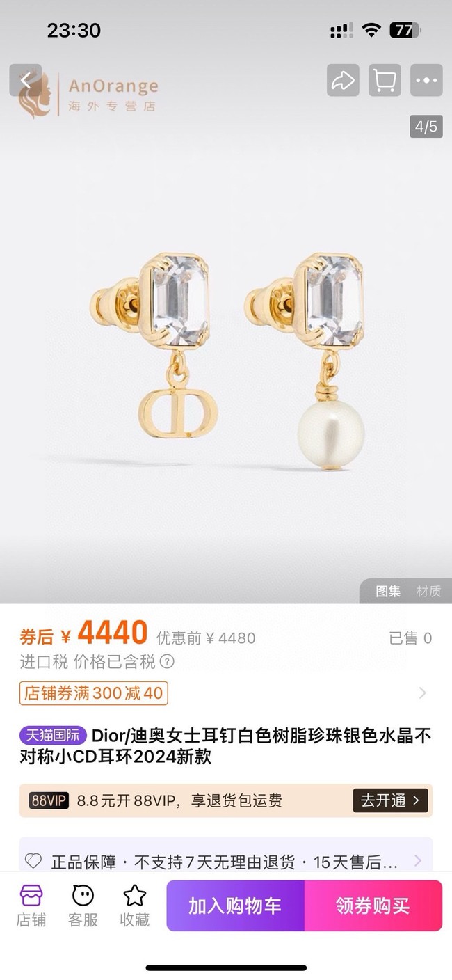 Dior Earrings CE15417