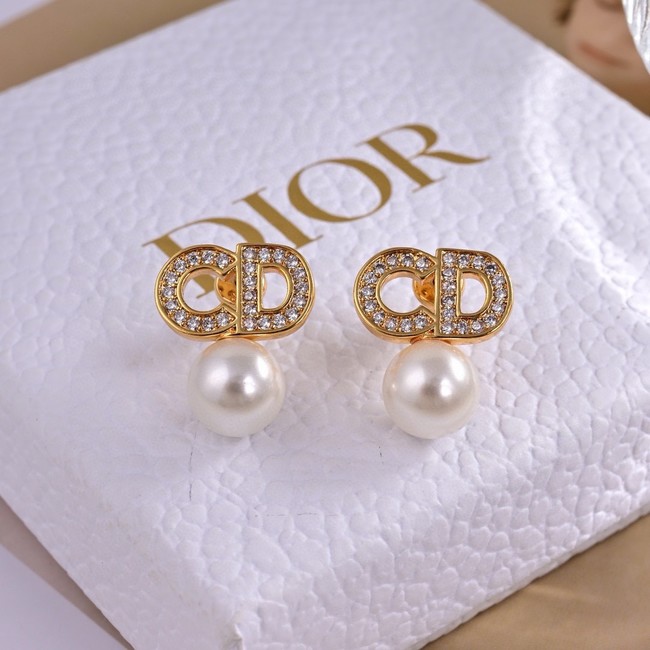 Dior Earrings CE15422