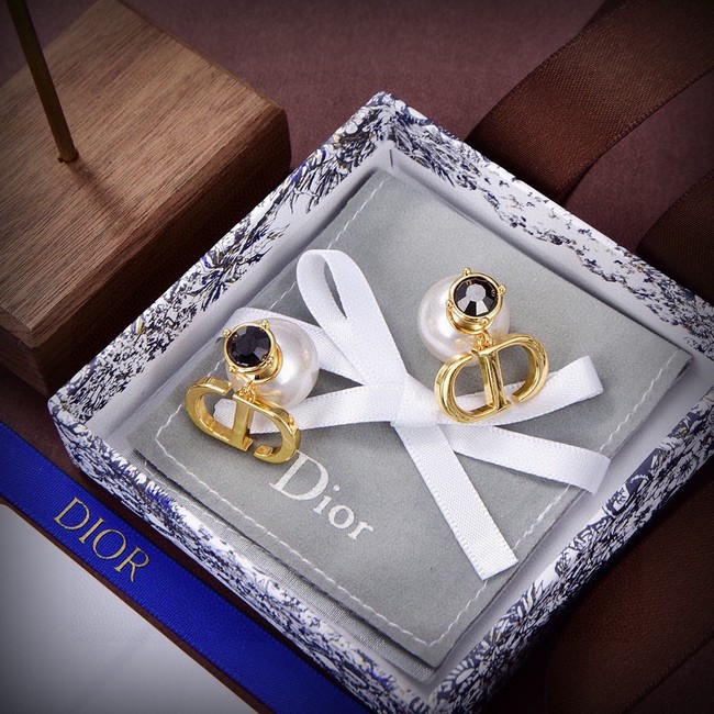 Dior Earrings CE15423