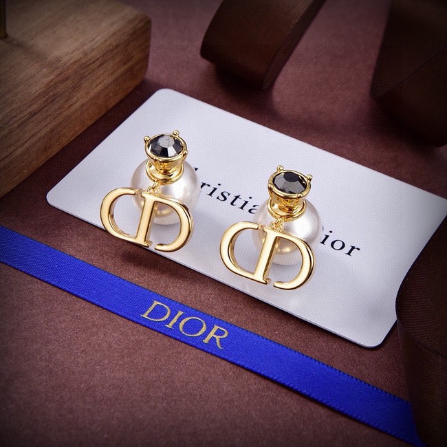 Dior Earrings CE15423