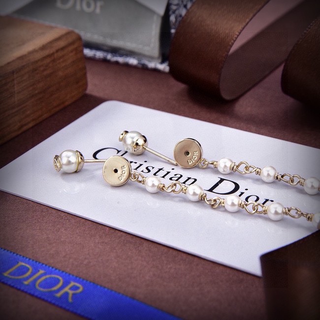 Dior Earrings CE15427