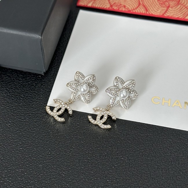 Chanel Earrings CE15494