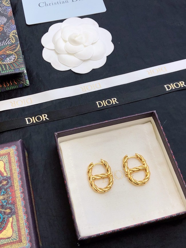 Dior Earrings CE15473