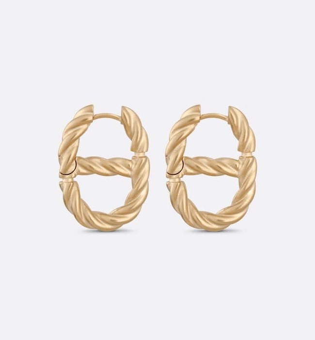 Dior Earrings CE15473