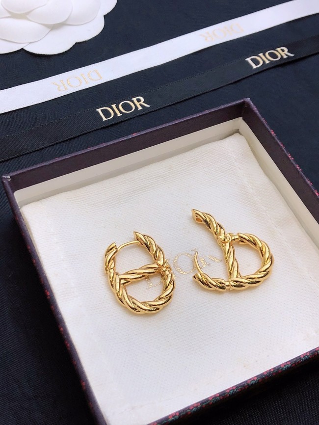 Dior Earrings CE15473