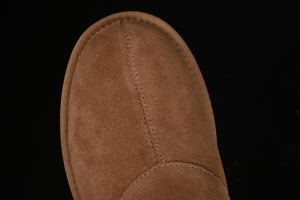 UGG Shoes UGS00015